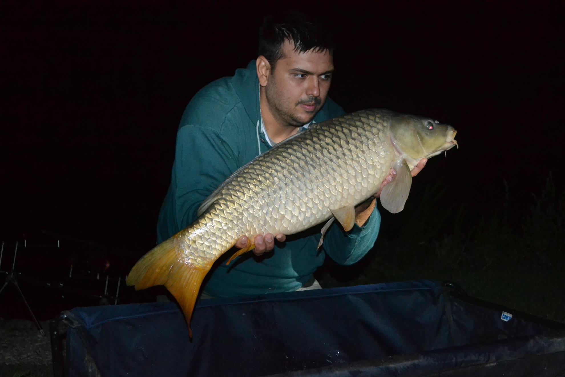 Hermes Peris 5 - 6 septembrie 2014 - dsc0971.JPG